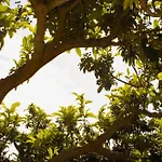 La Campina De Don Paulu