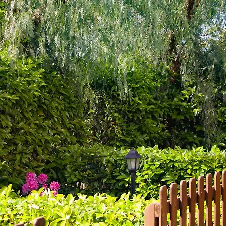 Farm stay La Campina De Don Paulu