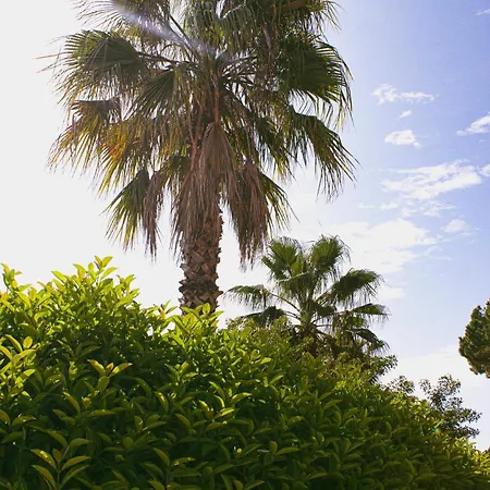 Farm stay La Campina De Don Paulu *